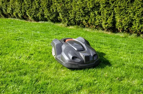 Best Automatic Lawn Mowers: What to Look for Before Buying